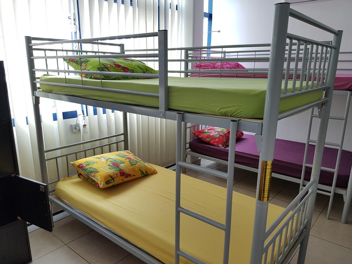 Bunk Bed Mixed Dormitory Room