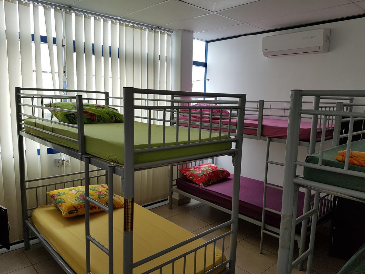 Bunk Bed Mixed Dormitory Room